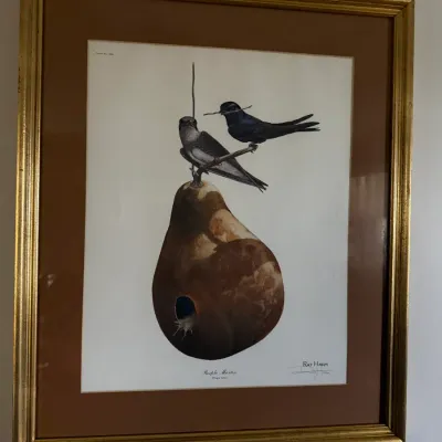 Sale Photo Thumbnail #42: Framed Ray Harm wildlife art print depicting purple martins perched on a gourd birdhouse, presented in a molded gold-tone frame with a brown mat.