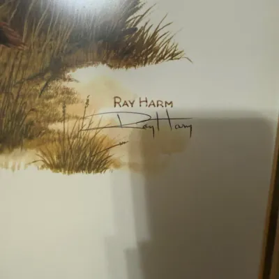 Sale Photo Thumbnail #40: Framed Ray Harm wildlife art print, featuring the artist's printed signature and handwritten signature.