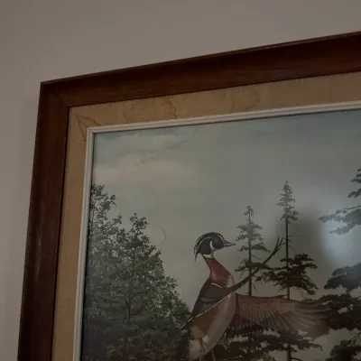 Sale Photo Thumbnail #36: Framed vintage wildlife art print featuring a wood duck against a forest background, set in a wooden frame with a fabric liner showing minor water staining.