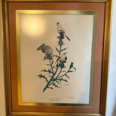 Sale Photo Thumbnail #75: Framed Ray Harm signed print titled 'American Goldfinch', depicting three birds perched on thistle stalks in a gilded frame with double matting.
