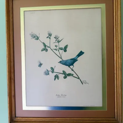 Sale Photo Thumbnail #146: Framed botanical bird print depicting an Indigo Bunting perched on a flowering branch, housed in a double-matted gilt wooden frame.