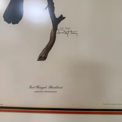 Sale Photo Thumbnail #178: Framed Ray Harm wildlife art print depicting a Red-Winged Blackbird, signed by the artist.