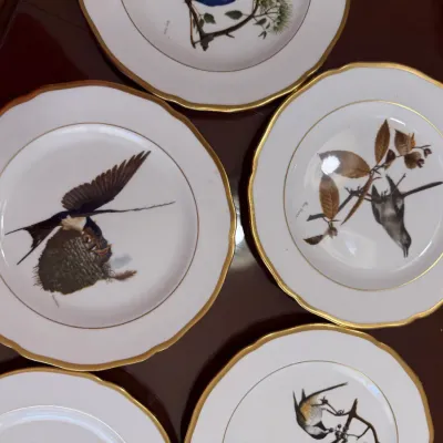 Sale Photo Thumbnail #212: Collection of porcelain collector plates featuring various detailed bird illustrations and gold rim trim.