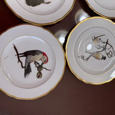 Sale Photo Thumbnail #211: Set of vintage porcelain bird collector plates featuring detailed illustrations with gilt scalloped rims.