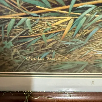 Sale Photo Thumbnail #394: Detail view of a framed wildlife artwork showing a Charles Fracé printed signature on the bottom right corner.