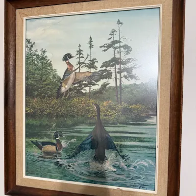 Sale Photo Thumbnail #34: Framed wildlife art print depicting wood ducks in a wetland scene, signed Ray Harm, housed in a walnut and linen-matted frame.