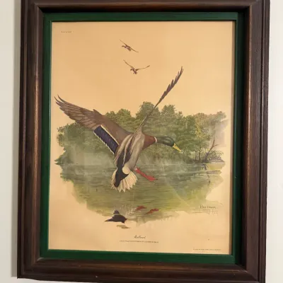 Sale Photo Thumbnail #50: Framed Ray Harm wildlife art print depicting a mallard duck in flight over water, set in a green mat and a dark wooden frame.