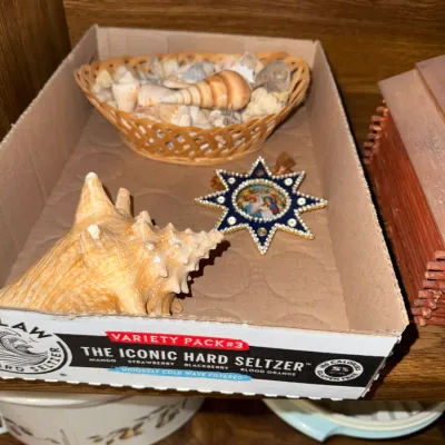 Sale Photo Thumbnail #286: Collection of decorative items including a large conch shell, a woven basket filled with assorted small seashells, and a star-shaped ornament.