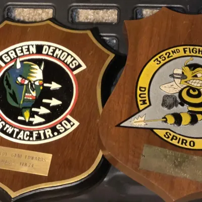 Pair of vintage US Air Force military wooden wall plaques featuring painted squadron insignia for the 356th Tactical Fighter Squadron...