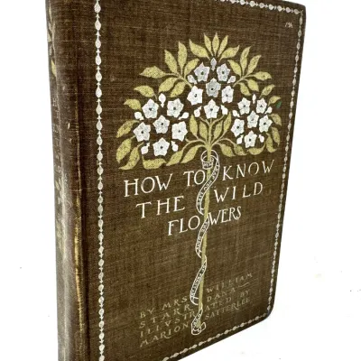 Sale Photo Thumbnail #264: Lot 264 How to Know the Wild Flowers