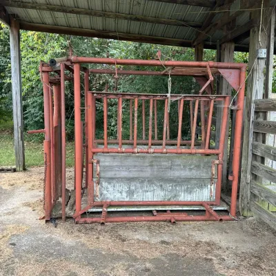 Sale Photo Thumbnail #342: Heavy-duty red painted steel livestock squeeze chute with wooden lower side panels, positioned under a covered shed.