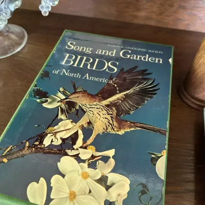 Sale Photo Thumbnail #256: National Geographic Society hardcover book, 'Song and Garden Birds of North America', featuring a slipcase cover with bird illustration.