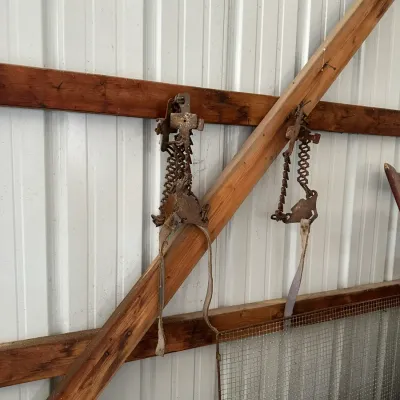 Sale Photo Thumbnail #719: Pair of vintage rusted metal leg irons with attached chains and cloth straps, hanging on a wooden barn wall frame.