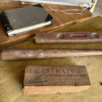 Sale Photo Thumbnail #726: Vintage Elastrator livestock tool in original box alongside a wooden baseball bat, a wooden spirit level, and a small binder on a table.