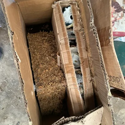 Sale Photo Thumbnail #560: Cardboard storage box filled with packed ceramic items and decorative dried moss.