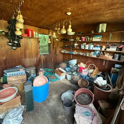 Sale Photo Thumbnail #273: Garden shed filled with various supplies, including plastic pots, garden hoses, dried gourds hanging from the ceiling, and wall shelving with assorted small items.