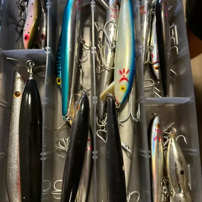 Sale Photo Thumbnail #43