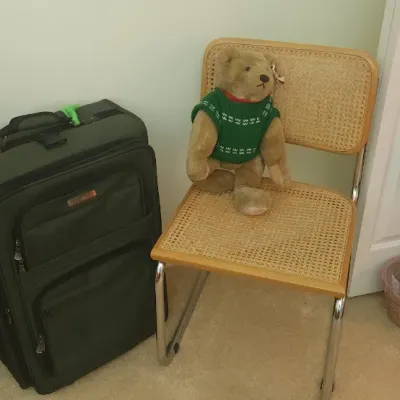 Sale Photo Thumbnail #318: Cesca-style cane and chrome chair paired with a plush teddy bear wearing a green sweater, positioned next to a black rolling suitcase.