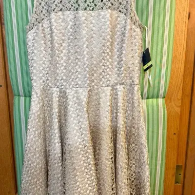 NWT Gabby Skye Size 4 Dress With Gold Tone Overlay 