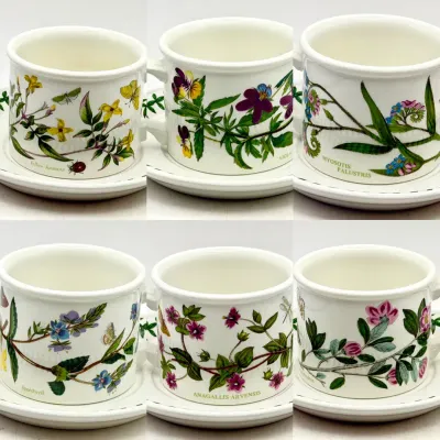 (6) Portmeirion Botanic Garden Drum Teacups & Saucers