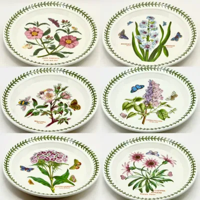 (6) Portmeirion Botanic Garden 8” Plates