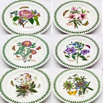 (6) Portmeirion Botanic Garden 10” Plates