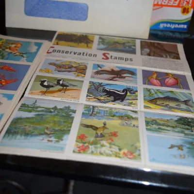 Sale Photo Thumbnail #80