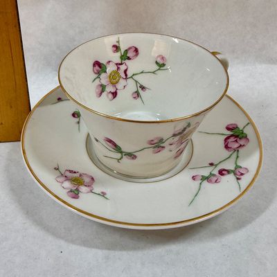 A. Lanternier & Co. Limoges France Teacup and Saucer Set