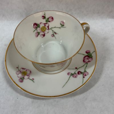 A. Lanternier & Co. Limoges France Teacup and Saucer Set