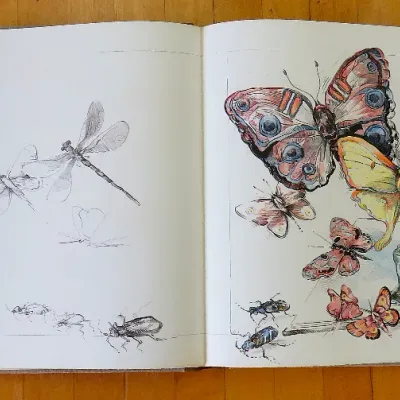 Sale Photo Thumbnail #536: Ellen Lanyon Wonder Production book