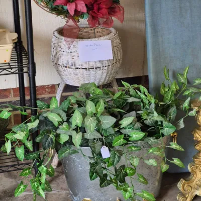 Sale Photo Thumbnail #54: Vintage White Wicker Planter