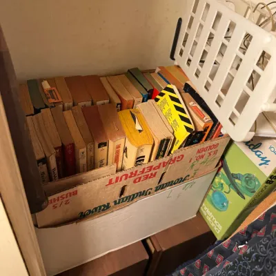 Sale Photo Thumbnail #77: Cardboard produce box filled with vintage paperback books, alongside holiday decoration boxes stored in a closet.