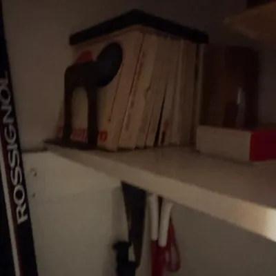 Sale Photo Thumbnail #83: A collection of books held by a dark metal bookend on a shelf, adjacent to a Rossignol ski bag.