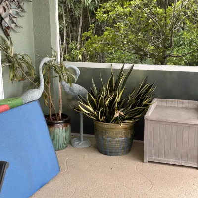 Covered patio decor including potted snake plant, ceramic glazed planters, egret lawn statues, and a grey resin deck storage box.