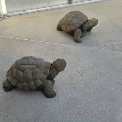 Pair of cast stone or resin tortoise garden statues, featuring detailed shell texture and weathered finishes.