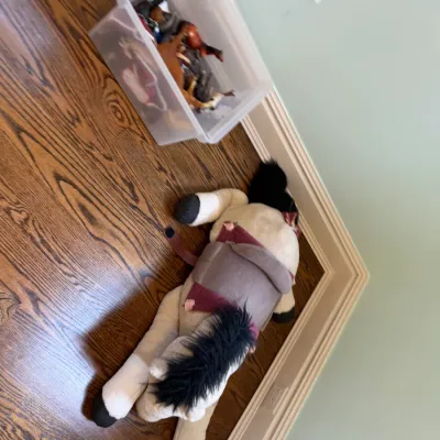 Sale Photo Thumbnail #170: Large plush horse toy lying on a hardwood floor alongside a clear storage bin filled with toy horse figurines.