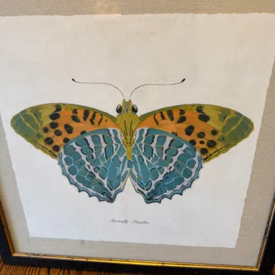 Sale Photo Thumbnail #38: Framed botanical-style art print featuring a colorful butterfly labeled "Butterfly - Papillon", set on deckle-edged paper within a dark wooden frame with gold trim.