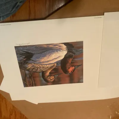 Sale Photo Thumbnail #10