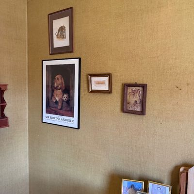 Sale Photo Thumbnail #132