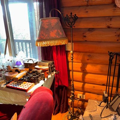Sale Photo Thumbnail #20: Vintage wrought iron floor lamp with a gooseneck arm and a fringed fabric shade featuring a leaf pattern, set against a log cabin wall.