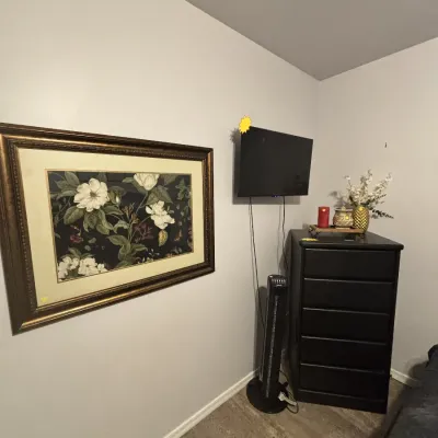 Sale Photo Thumbnail #32: A wall-mounted flat-screen TV above a black five-drawer dresser, alongside a large framed floral print, standing tower fan, and decorative accents.