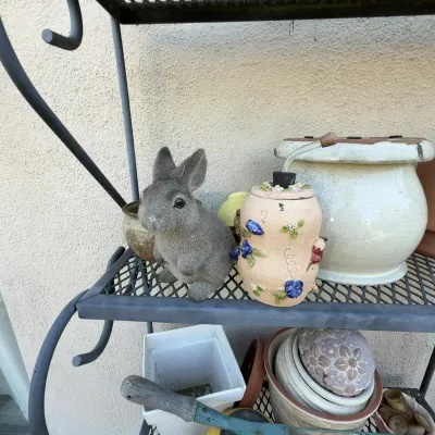 Sale Photo Thumbnail #79