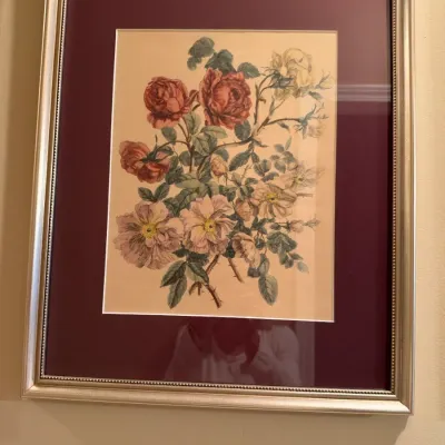 Framed botanical floral print featuring pink, red, and yellow roses, presented under glass in a deep burgundy mat and silver-tone frame.