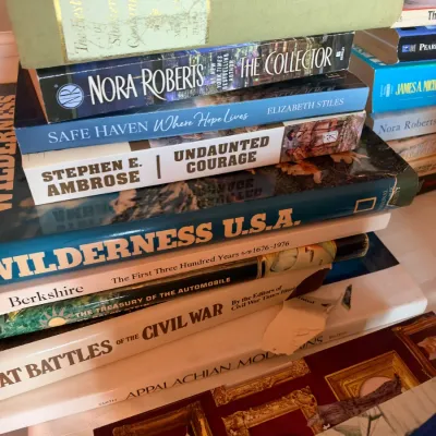 Stack of mixed hardcover and paperback books featuring history, fiction, and regional travel titles.