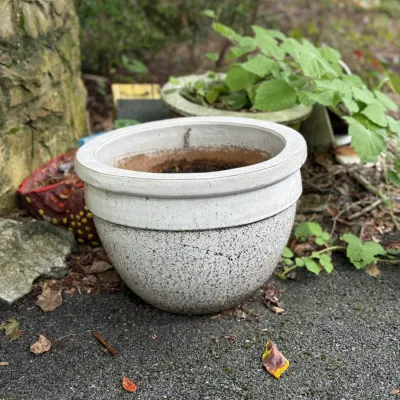 Sale Photo Thumbnail #206: Large white glazed ceramic planter with a rolled rim and speckled lower body, showing light soil residue inside.