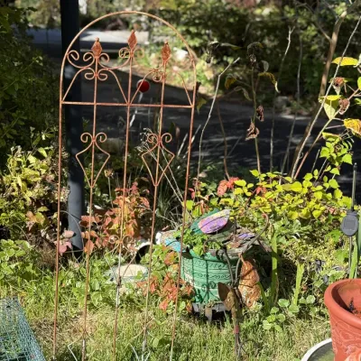 Sale Photo Thumbnail #244: Rusted metal garden trellis with decorative finials and scrollwork, standing outdoors alongside green planters and yard decor.