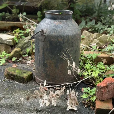 Sale Photo Thumbnail #205: Rustic vintage metal milk can with dark patina and rust, sitting outdoors among garden bricks.
