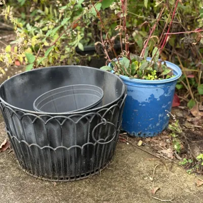 Sale Photo Thumbnail #200: Black metal wire plant pot holder with plastic liners alongside a potted outdoor plant.