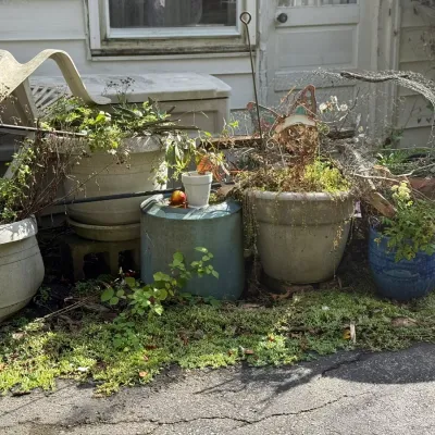 Sale Photo Thumbnail #254: Collection of weathered garden planters, ceramic pots, and outdoor decor items positioned outside a house.