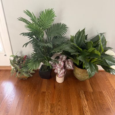 Sale Photo Thumbnail #76: Collection of four potted artificial plants, including a palm, peace lily, and rex begonia in decorative planters.
